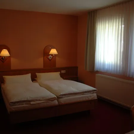 Otel Zum Baeren Rüdesheim am Rhein