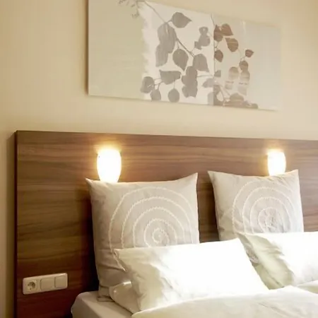 Zum Baeren Otel
