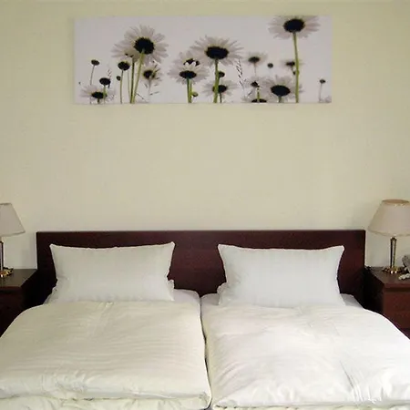 Zum Baeren Otel 4*
