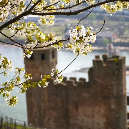 Hotell Zum Bären Rüdesheim am Rhein