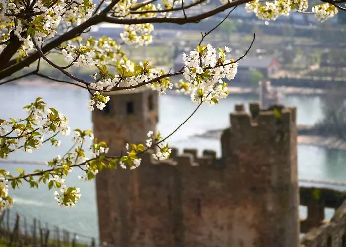 Hotell Zum Baeren Rüdesheim am Rhein